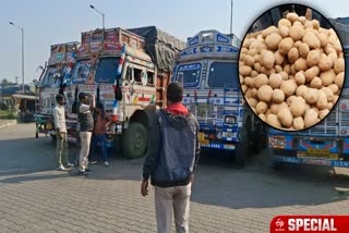 potatoes smuggling