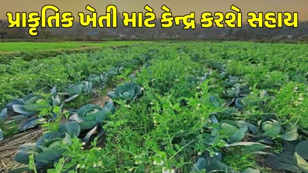 ફાઈલ તસવીર