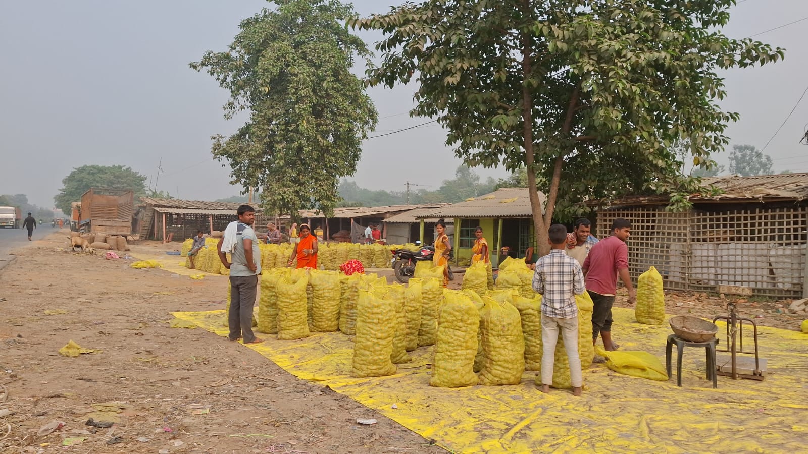 Bengal Bihar potato onion issue