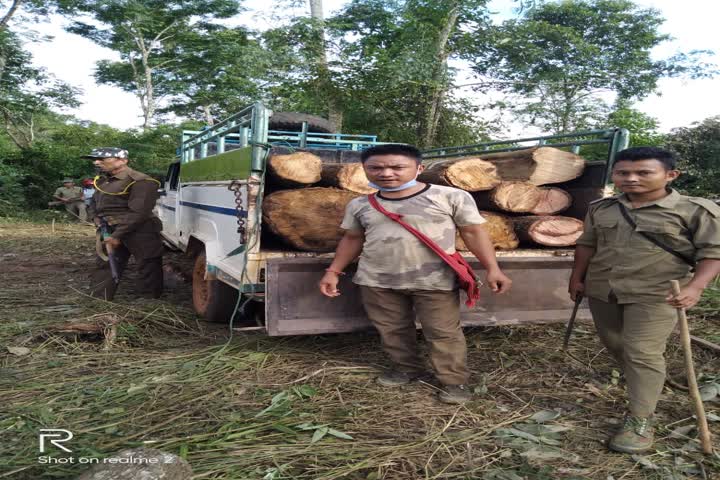 পশ্চিম কার্বি আংলঙত কুণ্ডাভর্তি বাহন জব্দ বন বিভাগৰ 