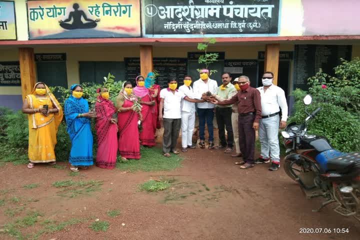 Plantation Program in Gram Panchayat Bhavan