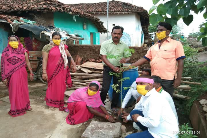 Trees were planted in village