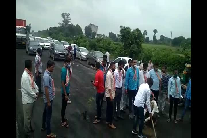 Attempted to plant trees on highway road