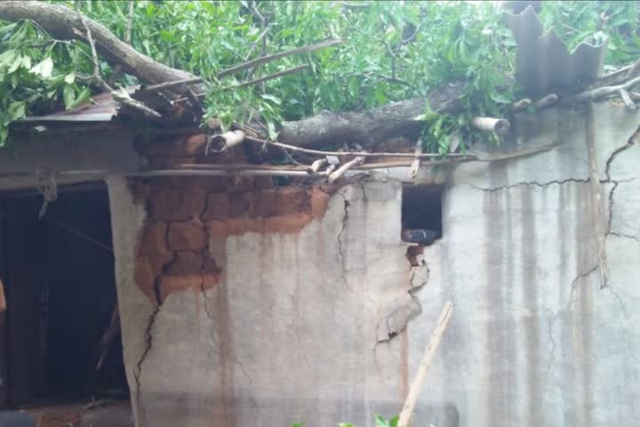 Damage to home due to tree fall