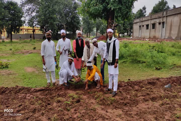 Tree plantation in keshkal