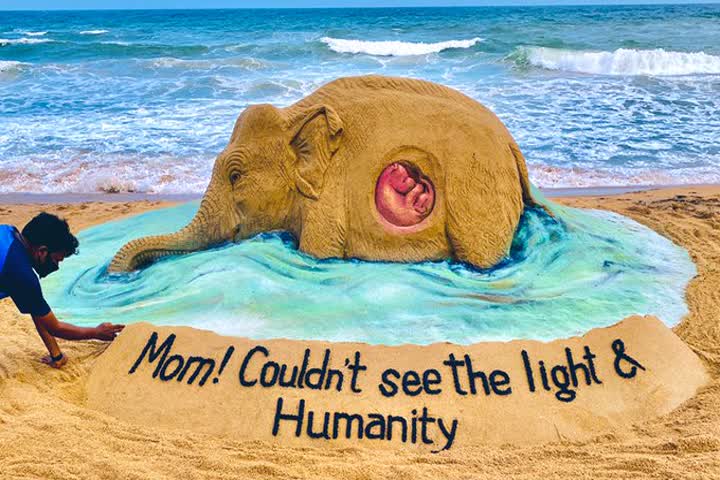 Kerala elephant death: Sudarsan Pattnaik condemns cruel act with sand art on Puri beach