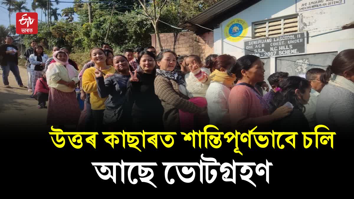 north cachar hills autonomous council polls today