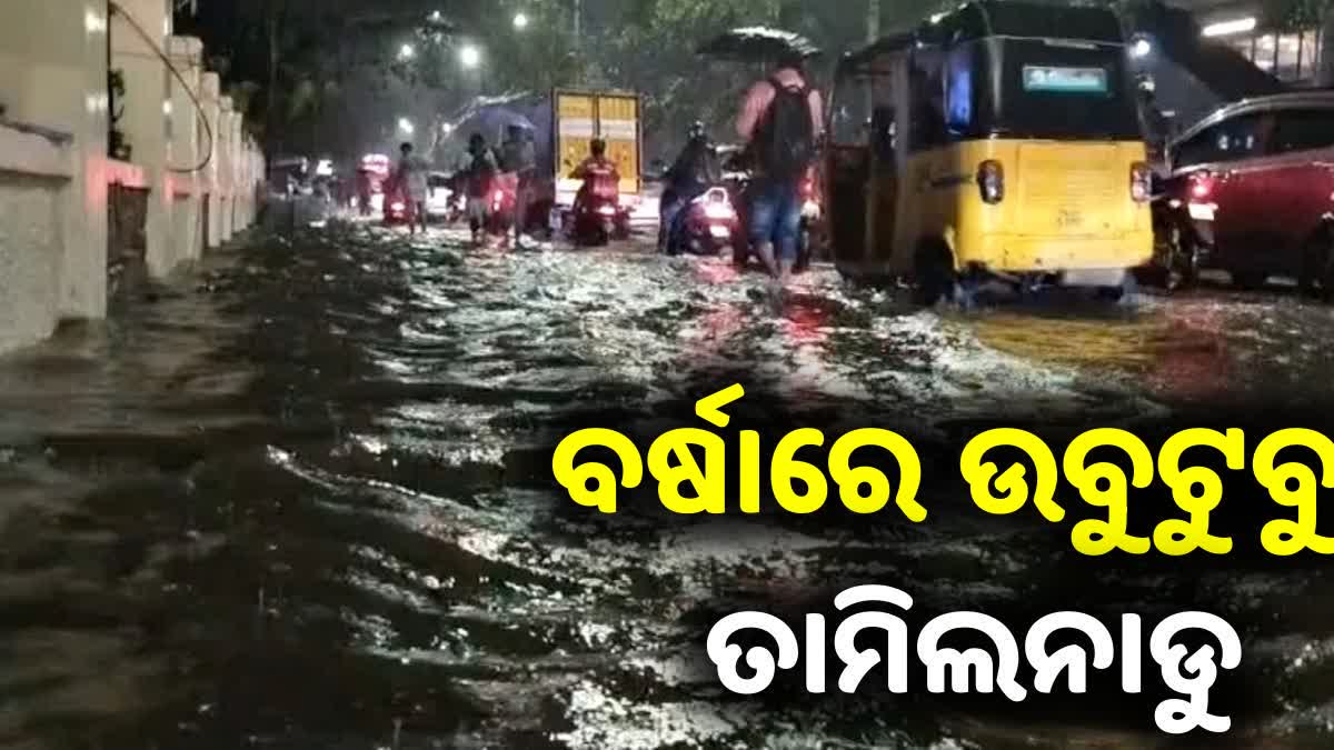 Tamil Nadu Rain