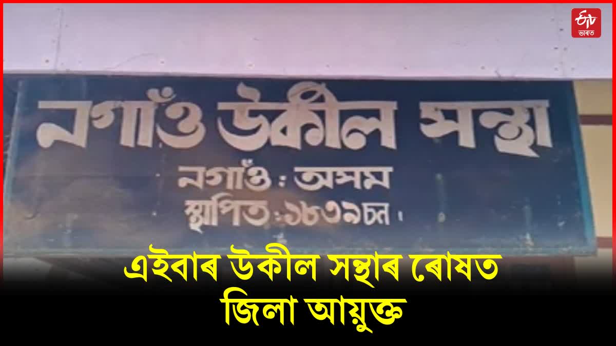 Nagaon bar association