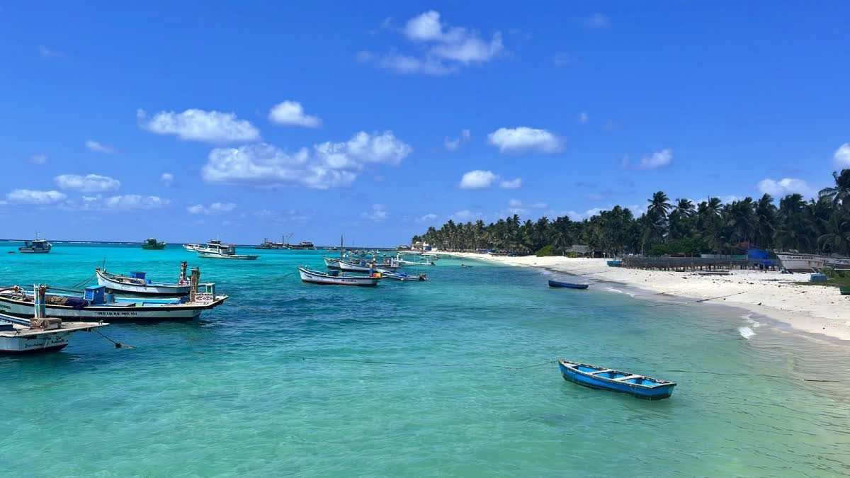 Online travel company MakeMyTrip on Monday announced the launch of a 'Beaches of India' campaign after seeing more than a 3,400 per cent jump in searches related to Lakshadweep since Prime Minister Narendra Modi visited the island. On the other hand, EaseMyTrip has opted to halt all flight bookings to the Maldives.