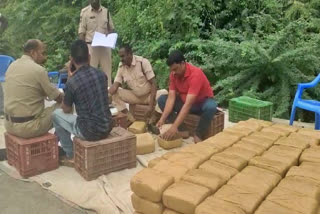 Police Seized 300kgs Ganja in Nagarjuna Sagar