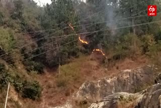 Forest Fire in Rudraprayag