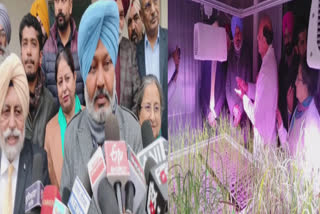 Finance Minister Punjab Harpal Cheema inaugurated the Speed Breeding Plant in Ludhiana PAU
