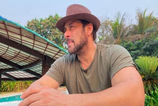 Two people try to illegally enter Salman Khan's Panvel farmhouse