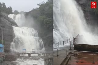 குற்றால அருவிகளில் வெள்ளப்பெருக்கு.. 2வது நாளாக அருவிகளில் குளிக்க தடை