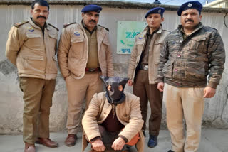 Hashish Recovered In Kullu,कुल्लू में चरस बरामद