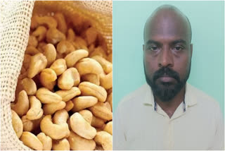 cashew nuts scam