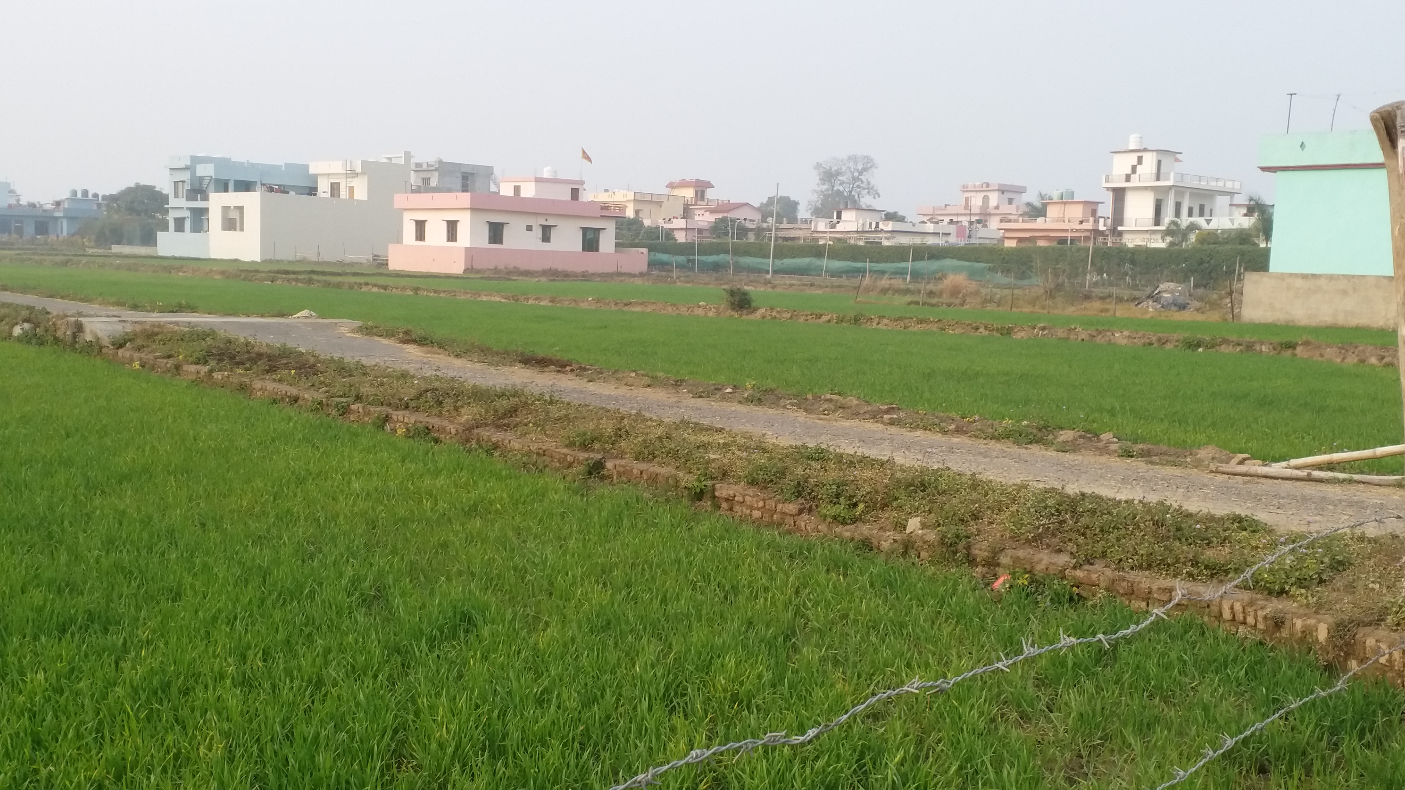 grain production in Uttarakhand