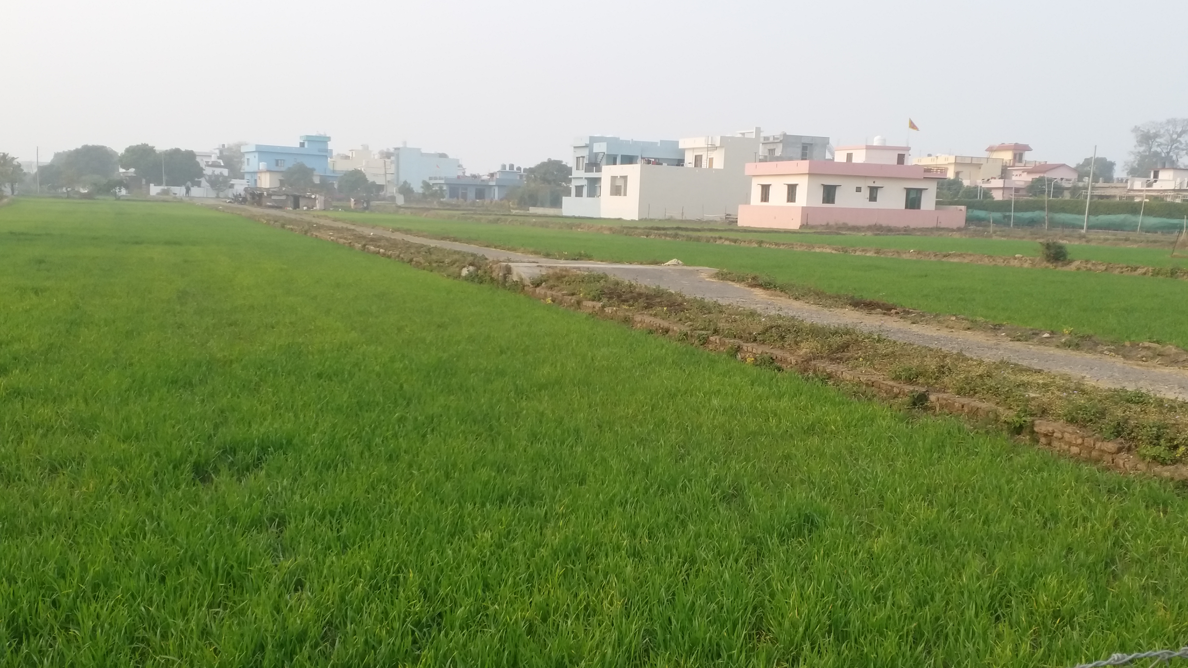 Agricultural land  in Uttarakhand