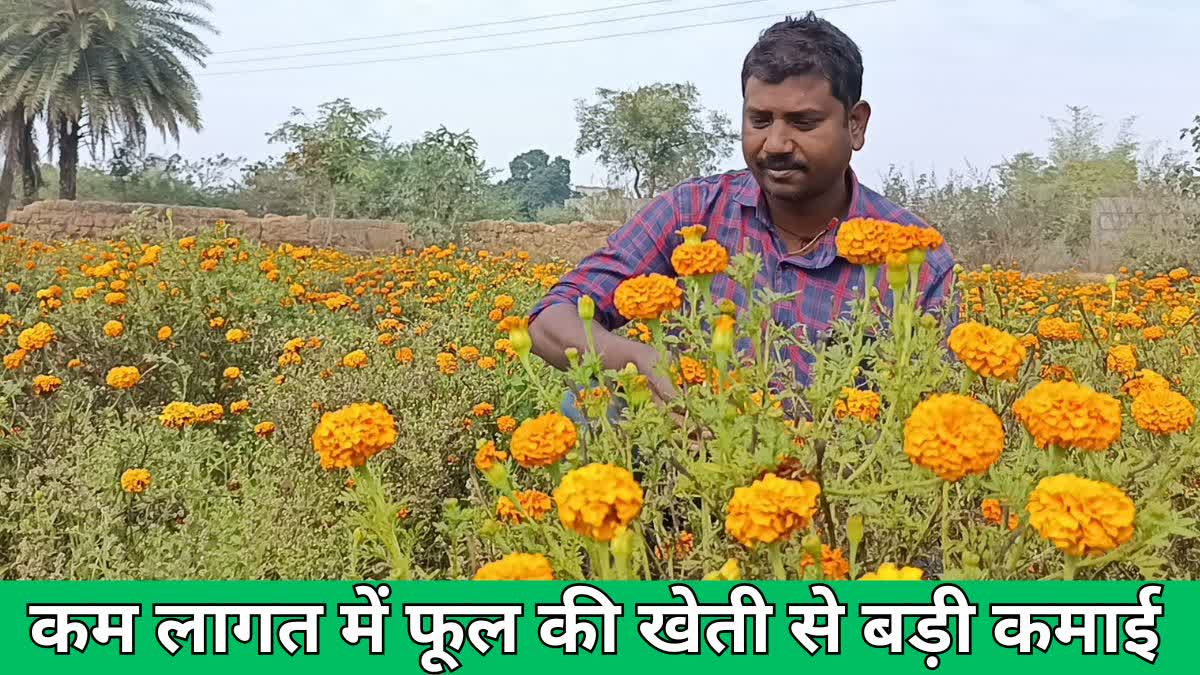 Flower cultivation in less land