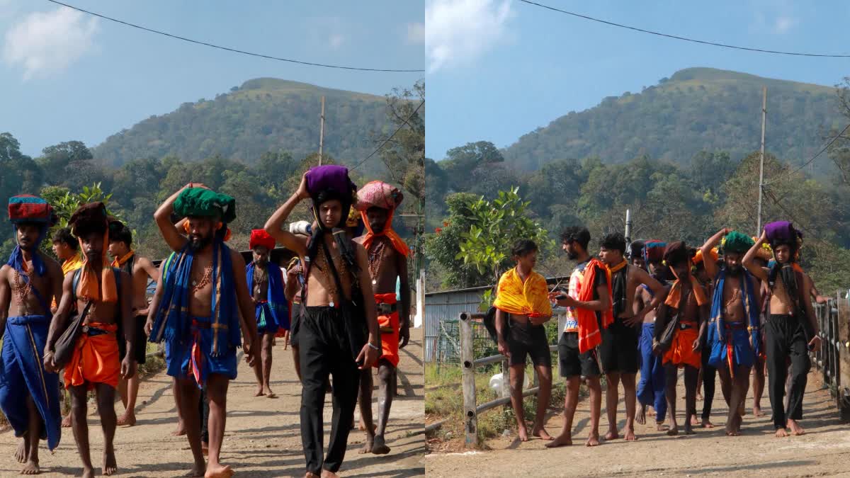 PTA SABARIMALA  PILGRIMS ENTRY FROM SATHRAM  ശബരിമല മകരവിളക്ക്  പുല്ലുമേട്