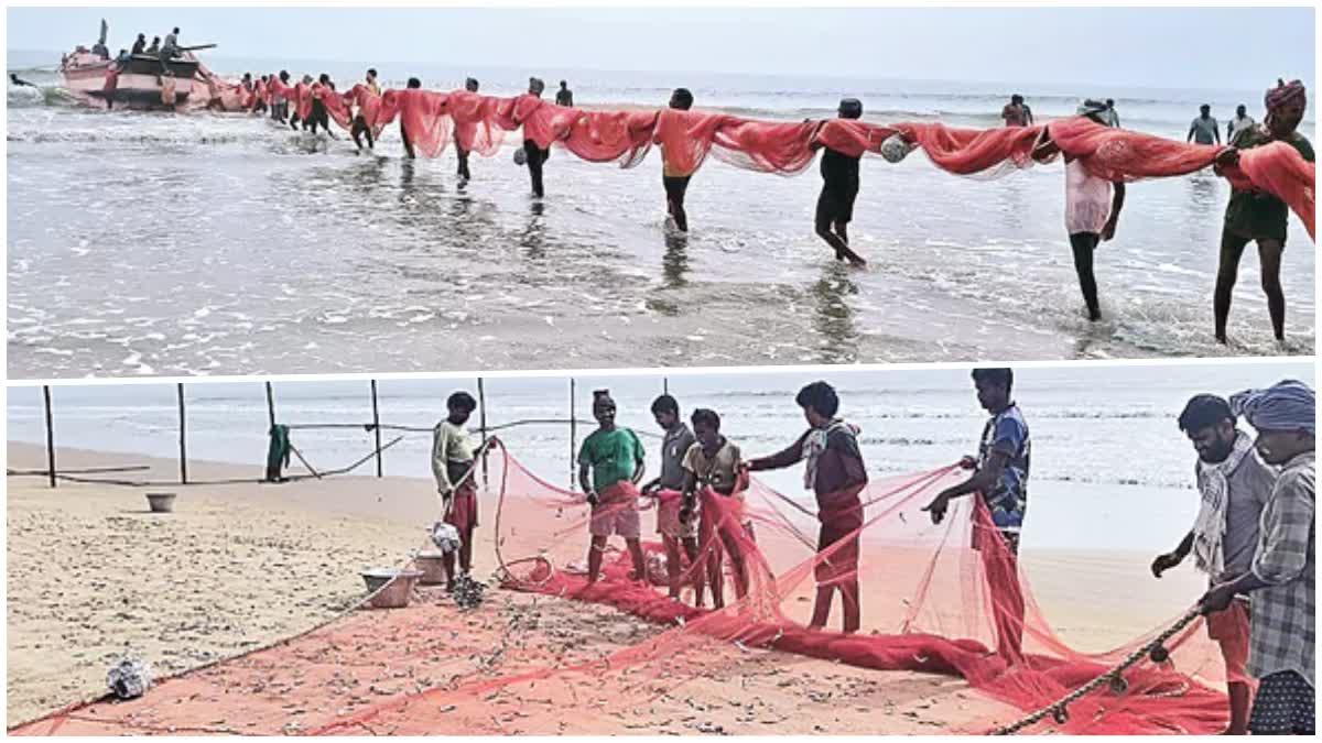 Fishermen Fishing With Aila Nets in Suryalanka Coast