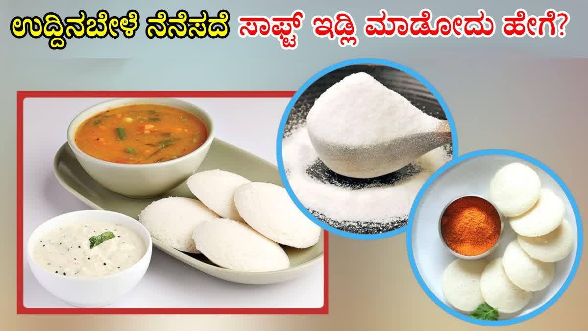 INSTANT IDLI MIX MAKING PROCESS  INSTANT IDLI RECIPE  HOW TO MAKE INSTANT IDLI MIX  INSTANT IDLI BATTER RECIPE