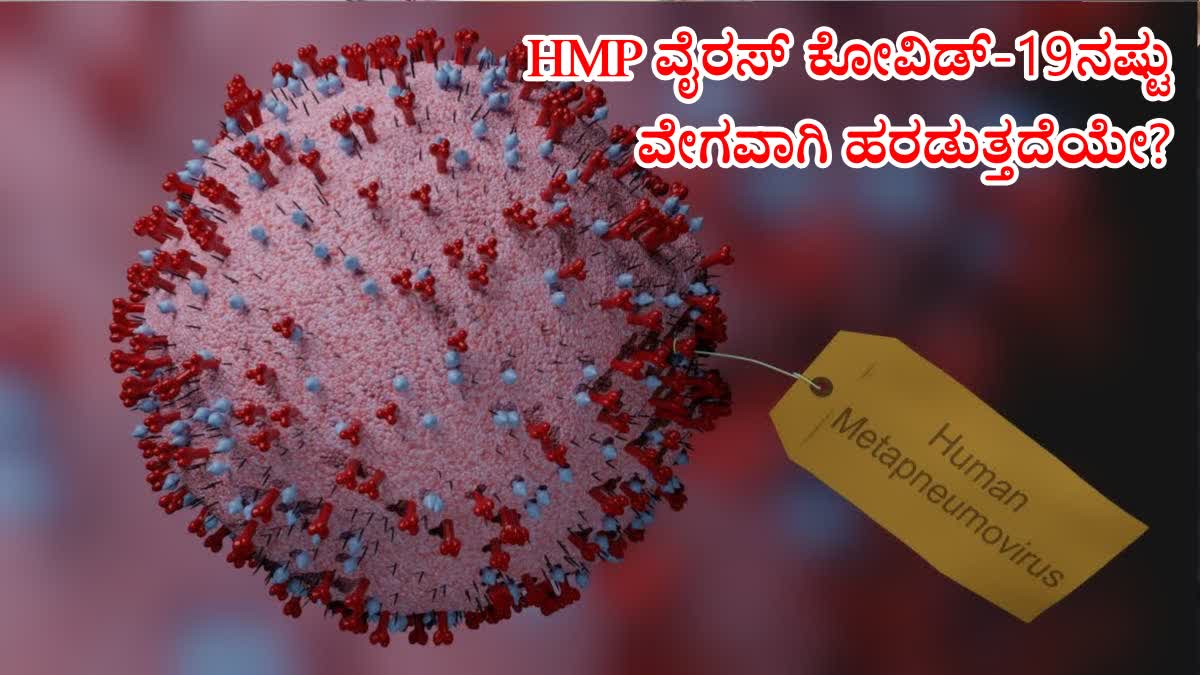 HMPV VIRUS IN INDIA  CAN HMPV VIRUS CAUSE SYMPTOMS  HMPV VIRUS CAN CAUSE CANCER  HMPV ISOLATION PRECAUTIONS