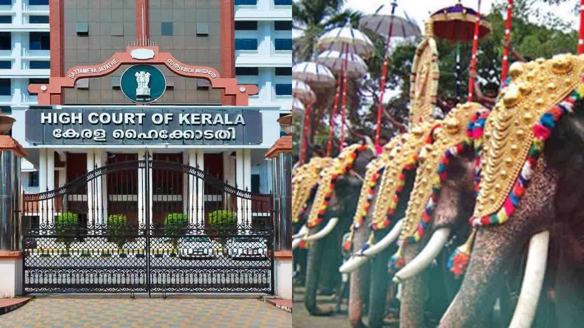 ELEPHANT ATTACK PUTHIYANGADI  ELEPHANT ATTACK IN EVENTS KERALA  ELEPHANT ATTACK COURT INTERVENTIONS  HIGH COURT DIRECTIVES ON ELEPHANTS