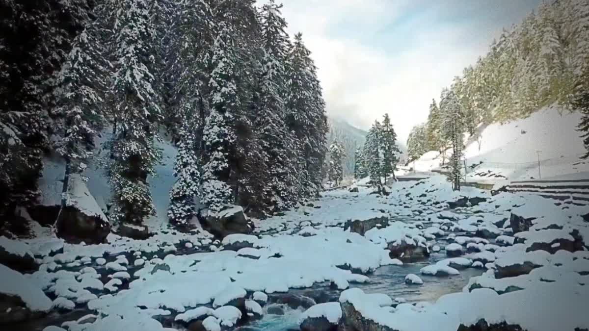 A view of snow clad landscape in Kashmir