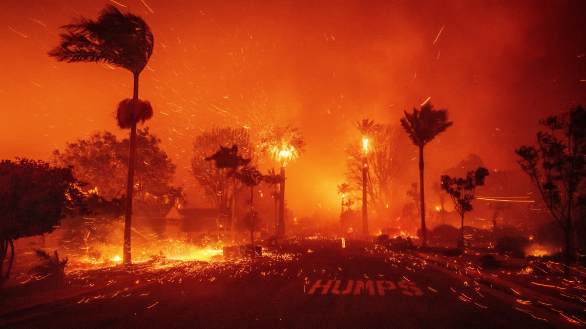 Thousands Flee As Wildfires Burn Out Of Control In And Around Los Angeles And Homes Are Destroyed