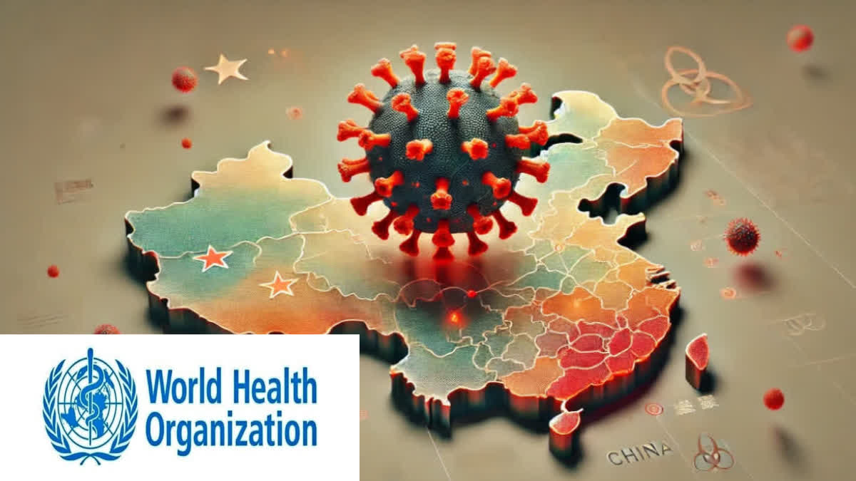 WHO's big statement on HMPV virus, know what it said on declaration of emergency in many states of China