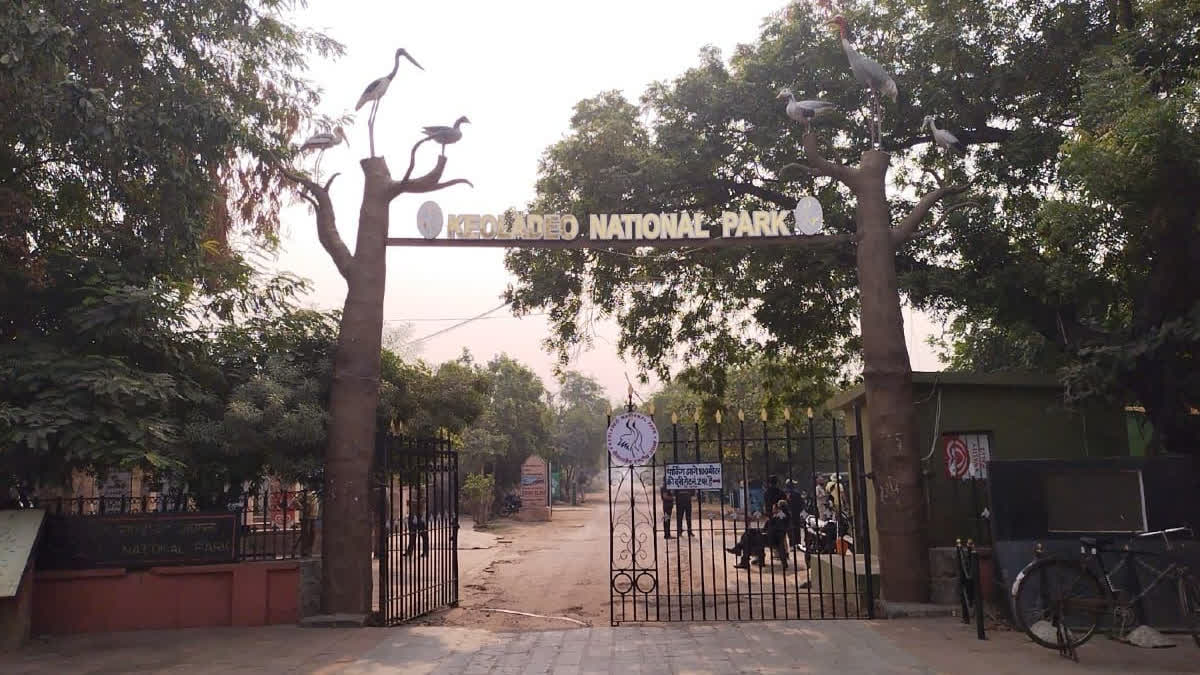 Keoladeo National Park