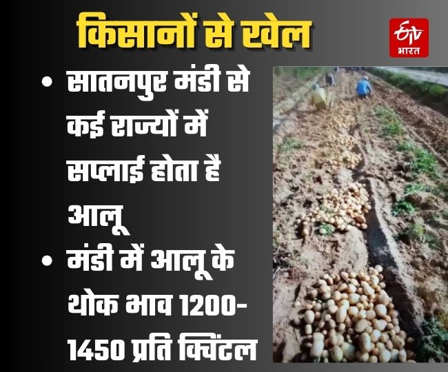 up uttar pradesh biggest sabzi mandi potato traders cheating rs 15 lakh potatoes everyday from farmer