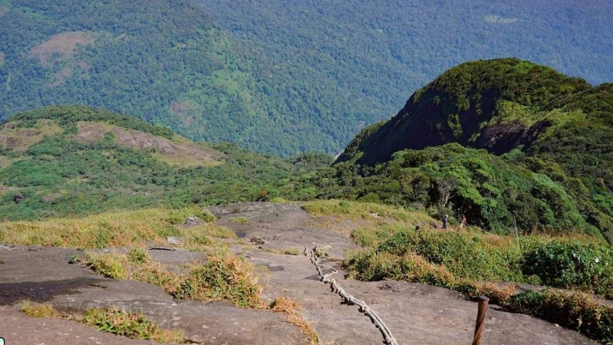 AGASTHYARKOODAM REGISTRATION  AGASTHYARKOODAM TOURISM  TREKKING TOURISM  ADVENTUROUS SEASONAL TREKKING