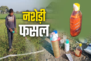 RATLAM FARMER SPRAY ALCOHOL CROPS