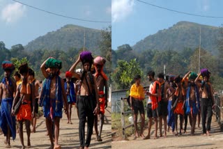 PTA SABARIMALA  PILGRIMS ENTRY FROM SATHRAM  ശബരിമല മകരവിളക്ക്  പുല്ലുമേട്