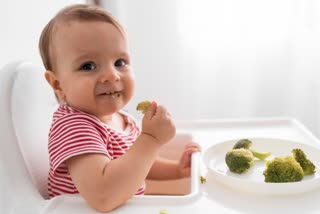 Diet Plan For baby