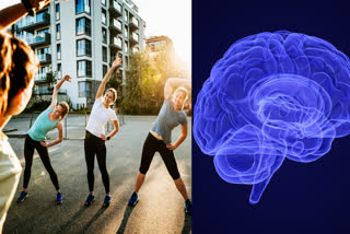 exercise improves brain function