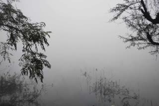 SHAHDOL COVERED DENSE FOG