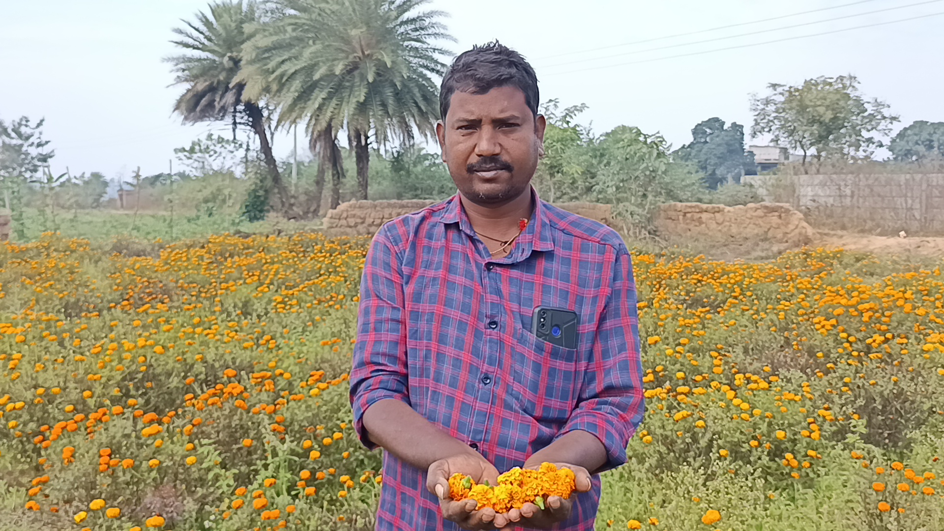 Flower cultivation in less land