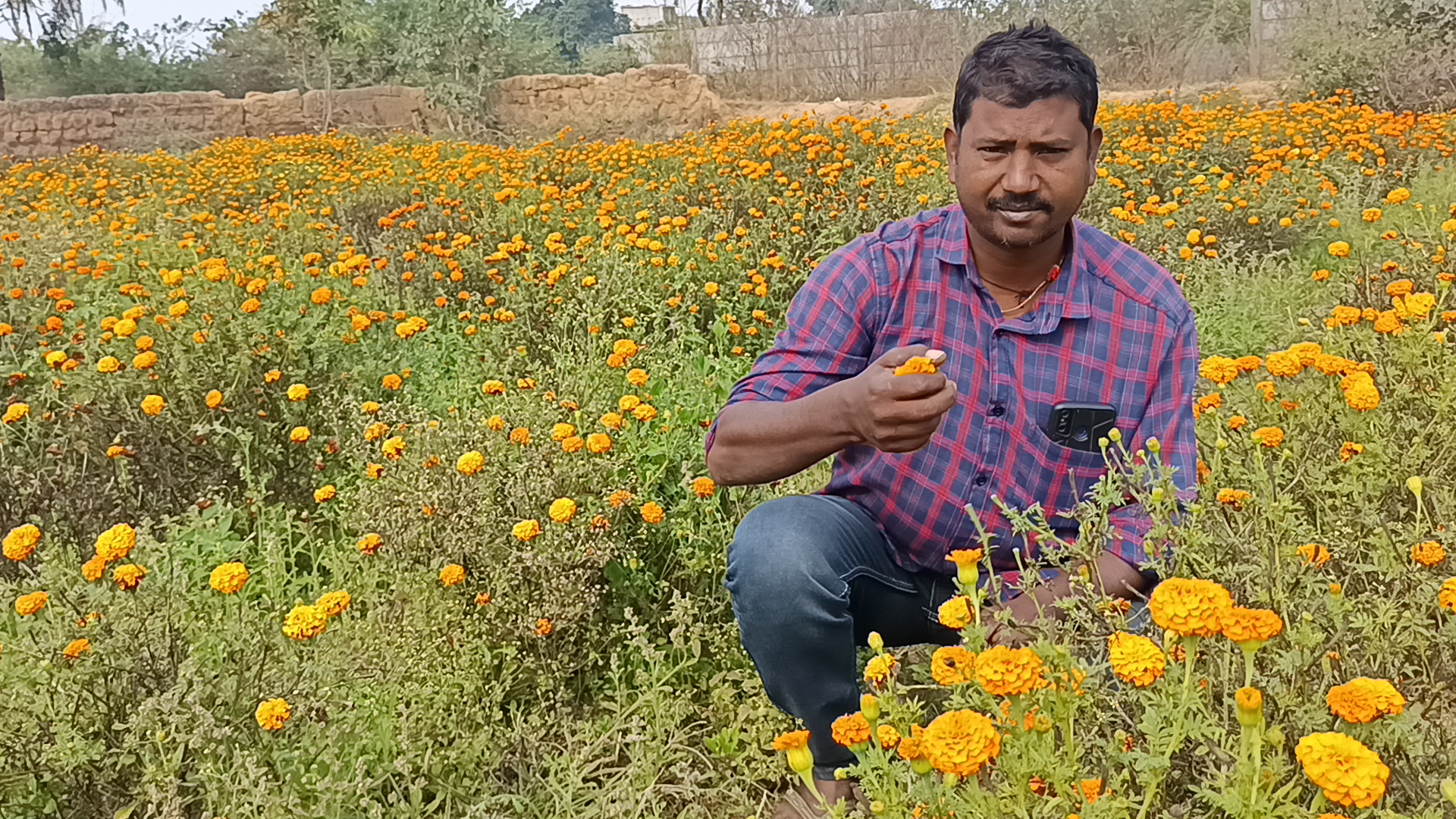 Flower cultivation in less land