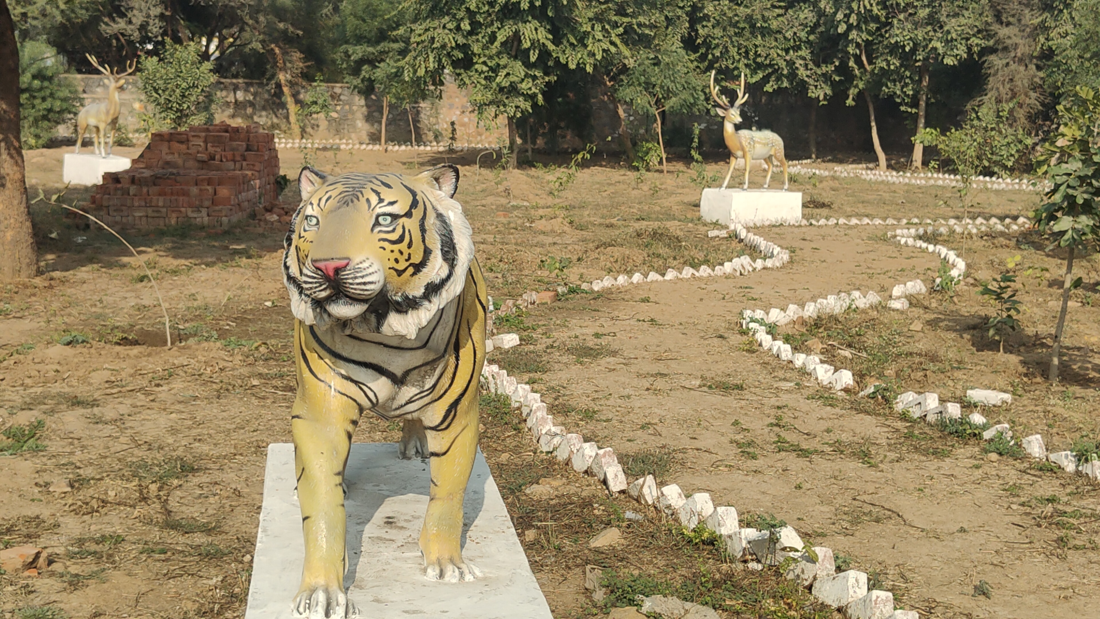 Alwar Green Lungs Park