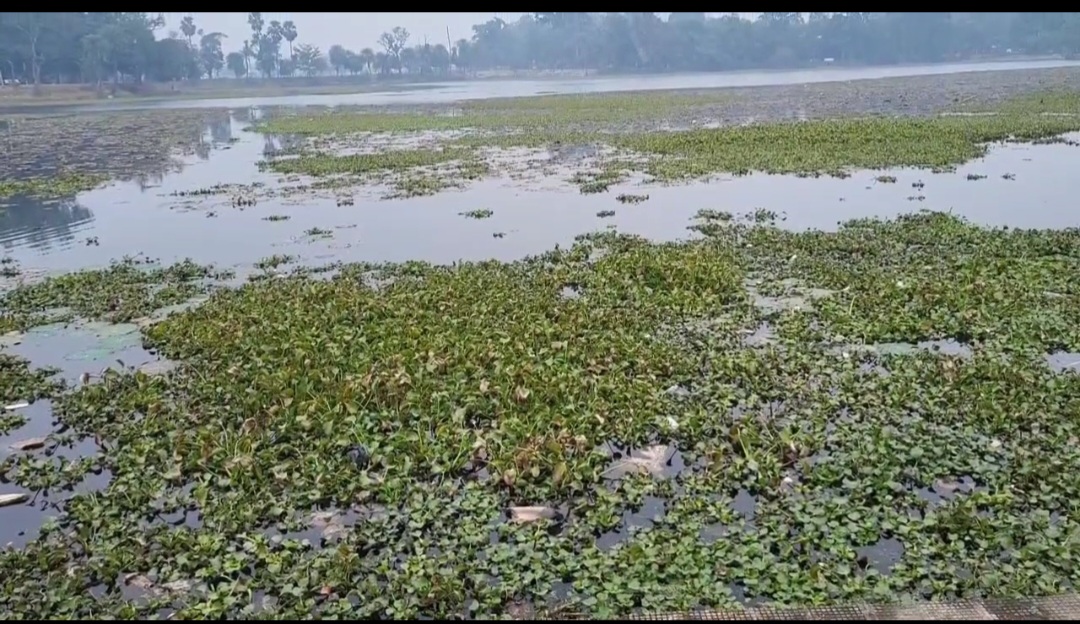 Floating Weed Harvester Machine