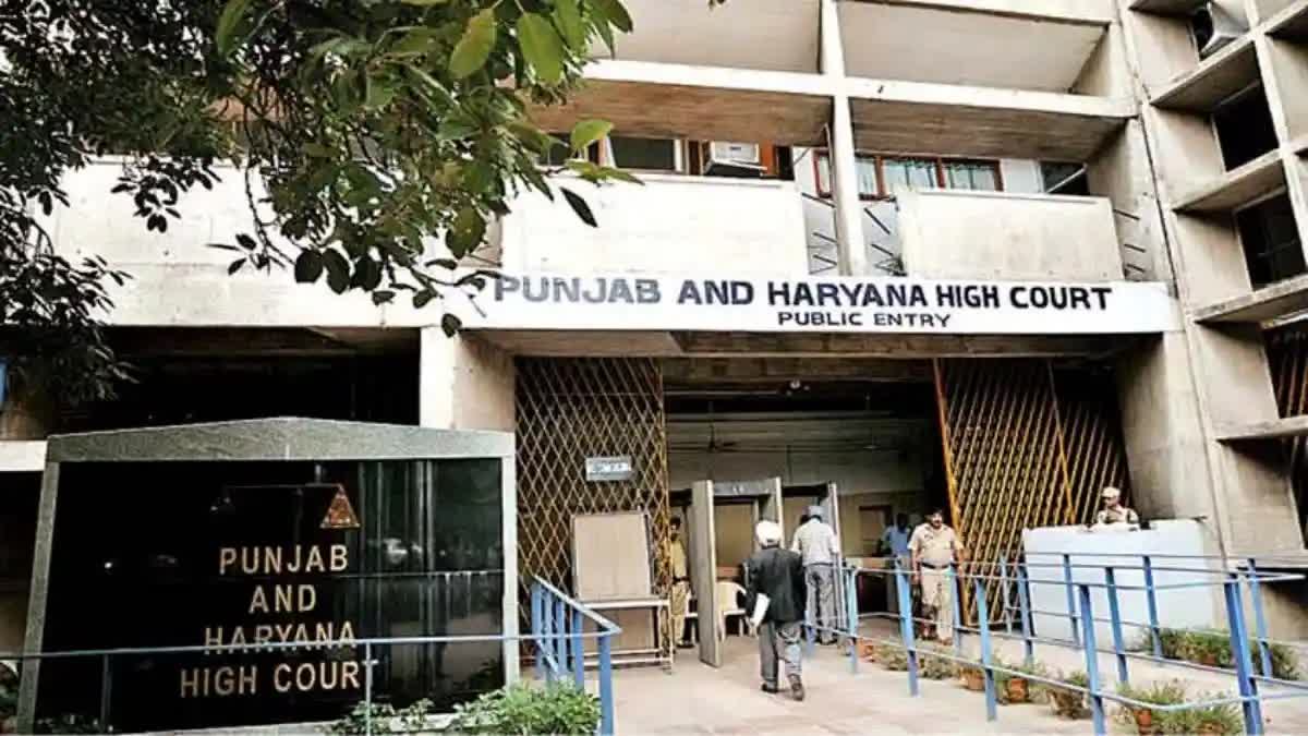 Punjab Haryana High Court