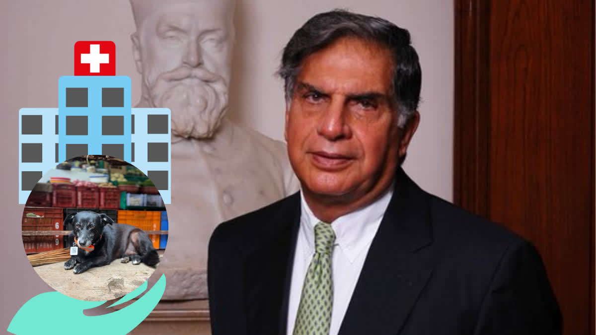 Ratan Tata pet project (Social Media)