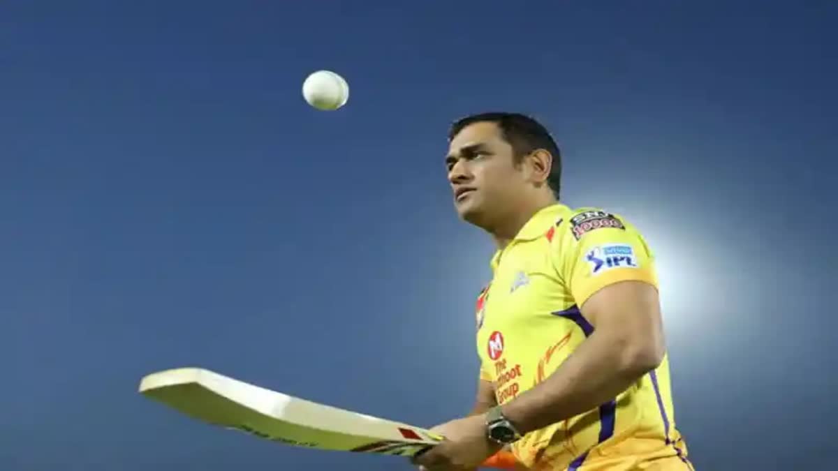 Dhoni Cricket Bat