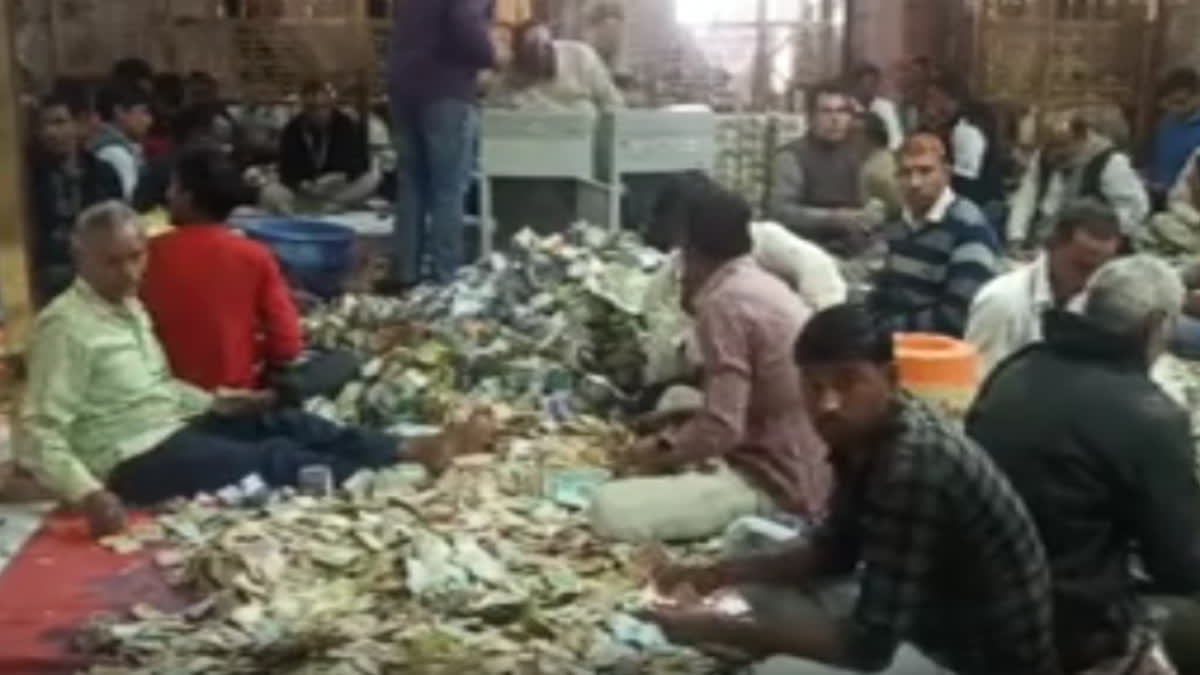 counting of donation in Sanwariya Seth temple