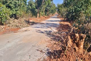 Irregularities in road Built in Giridih