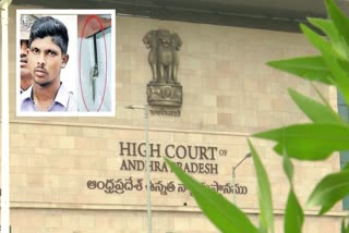 kodi_katti_case_srinu_bail